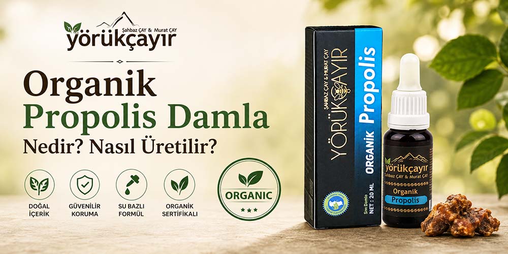 Propolis Damla Nedir
