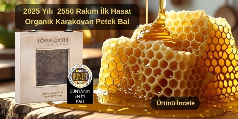 Karakovan Petek Bal 2025 Yılı