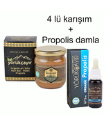 Arı sürü bal polen propolis karışım ve propolis damla